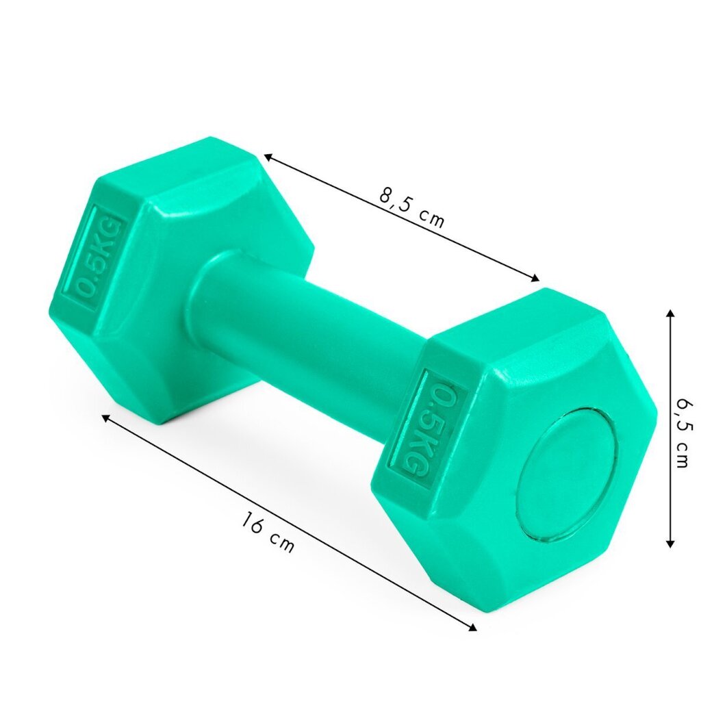 Hantlite komplekt ModernHome, 2 x 0,5 kg цена и информация | Hantlid, kangid, raskused | kaup24.ee