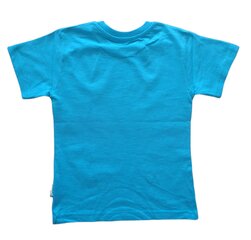 T-särk poistele, sinine цена и информация | Рубашки для мальчиков | kaup24.ee
