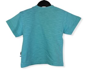 T-särk poistele Unruly, roheline цена и информация | Рубашки для мальчиков | kaup24.ee