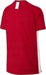 Nike T-särk noortele Jr Dry Academy Top AO0739-657, Xl, punane hind ja info | Jalgpalli varustus ja riided | kaup24.ee
