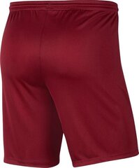 Nike meeste lühikesed püksid JR Park III Knit, M 140 cm, punane hind ja info | Jalgpalli varustus ja riided | kaup24.ee