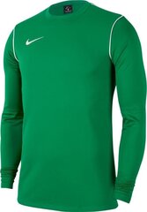 Молодежный джемпер Nike JR Park 20, 164 см, зеленый цвет цена и информация | Футбольная форма и другие товары | kaup24.ee