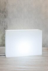 Светящийся вазон Longerino, белый цена и информация | Вазоны | kaup24.ee