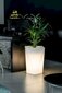 Lillepott valgusega Vaso, 25x59 cm hind ja info | Dekoratiivsed lillepotid | kaup24.ee