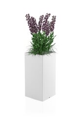 Lillepott Monumo Tower, 70x35 cm hind ja info | Dekoratiivsed lillepotid | kaup24.ee