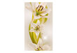 Fototapeet - Lilies avant-garde hind ja info | Fototapeedid | kaup24.ee