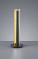 Trio светильник на стол Texel цена и информация | Настольная лампа | kaup24.ee