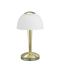 Trio светильник на стол Ventura цена и информация | Настольная лампа | kaup24.ee
