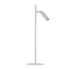 TK Lighting lauavalgusti Lagos hind ja info | Laualambid | kaup24.ee