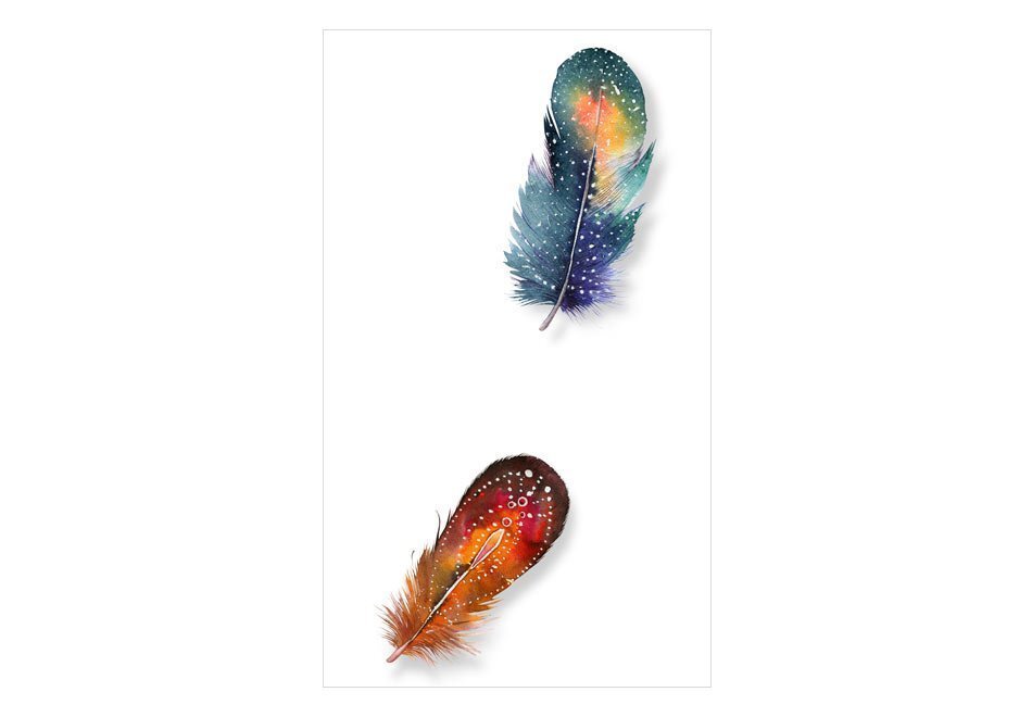 Fototapeet - Colorful Feathers цена и информация | Fototapeedid | kaup24.ee