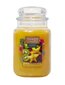 Lõhnaküünal Yankee Candle Tropical Starfruit, 623g цена и информация | Küünlad, küünlajalad | kaup24.ee