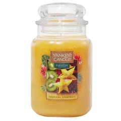 Lõhnaküünal Yankee Candle Tropical Starfruit, 623g hind ja info | Küünlad, küünlajalad | kaup24.ee