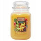 Yankee Candle Tropical Starfruit lõhnaküünal 623 hind ja info | Küünlad, küünlajalad | kaup24.ee