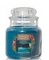 Yankee Candle Moonlit Cove lõhnaküünal 104g hind ja info | Küünlad, küünlajalad | kaup24.ee