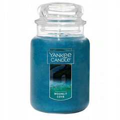Lõhnaküünal Yankee Candle Moonlit Cove, 623g цена и информация | Подсвечники, свечи | kaup24.ee