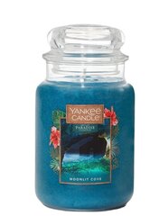 Lõhnaküünal Yankee Candle Moonlit Cove, 623g hind ja info | Küünlad, küünlajalad | kaup24.ee