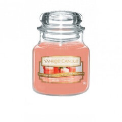 Lõhnaküünal Yankee Candle White Strawberry Bellini, 104g hind ja info | Küünlad, küünlajalad | kaup24.ee
