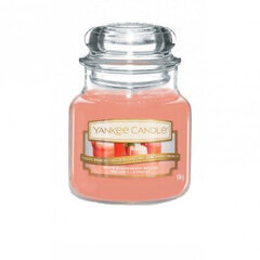 Lõhnaküünal Yankee Candle White Strawberry Bellini, 104g цена и информация | Подсвечники, свечи | kaup24.ee