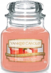 Lõhnaküünal Yankee Candle White Strawberry Bellini, 104g цена и информация | Подсвечники, свечи | kaup24.ee