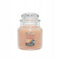 Lõhnaküünal Yankee Candle Mandariini Vanilje, 104g hind ja info | Küünlad, küünlajalad | kaup24.ee