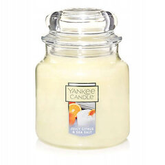Lõhnaküünal Yankee Candle Juicy Citrus & Sea Salt, 104g цена и информация | Подсвечники, свечи | kaup24.ee