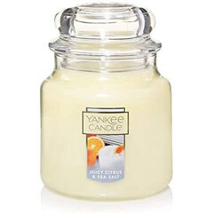 Lõhnaküünal Yankee Candle Juicy Citrus & Sea Salt, 104g цена и информация | Подсвечники, свечи | kaup24.ee