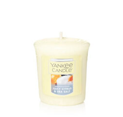 Lõhnaküünal Yankee Candle Juicy Citrus & Sea Salt, 49g цена и информация | Подсвечники, свечи | kaup24.ee