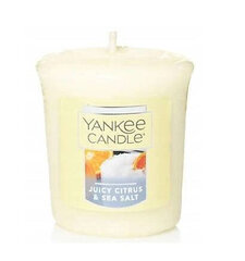 Lõhnaküünal Yankee Candle Juicy Citrus & Sea Salt, 49g hind ja info | Küünlad, küünlajalad | kaup24.ee