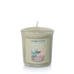 Lõhnaküünal Yankee Candle Salvei ja tsitrusviljad, 49g цена и информация | Подсвечники, свечи | kaup24.ee