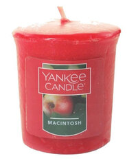 Lõhnaküünal Yankee Candle Macintosh, 49g цена и информация | Подсвечники, свечи | kaup24.ee