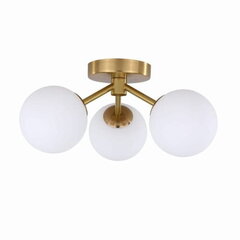 Light Prestige светильник на потолок Dorado цена и информация | Light Prestige Мебель и домашний интерьер | kaup24.ee