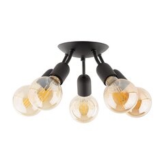 TK Lighting laevalgusti Rubio hind ja info | Laelambid | kaup24.ee