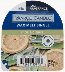 Yankee Candle Classic Wax Sage&Citrus 22g цена и информация | Подсвечники, свечи | kaup24.ee