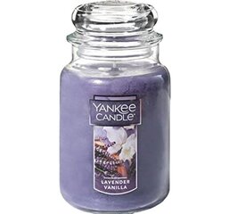 Lõhnaküünal Yankee Candle Large Jar Lavender Vanilla, 623g цена и информация | Свечи, подсвечники | kaup24.ee