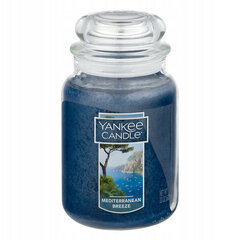 Lõhnaküünal Yankee Candle Large Jar Miditerranean Breeze, 623g цена и информация | Подсвечники, свечи | kaup24.ee