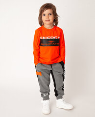 Футболка для мальчиков Gulliver, оранжевый цвет цена и информация | Рубашки для мальчиков | kaup24.ee