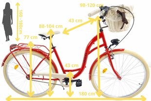 Naiste jalgratas Davi Lila, 160-185 cm, 28", Punane hind ja info | Jalgrattad | kaup24.ee