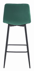 2-toolide komplekt Leobert Pozza, roheline/must hind ja info | Söögilaua toolid, köögitoolid | kaup24.ee