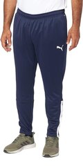 Puma Спортивные брюки Ess+ 2 Col Logo Navy 586767 07 586767 07/2XL цена и информация | Мужская спортивная одежда | kaup24.ee