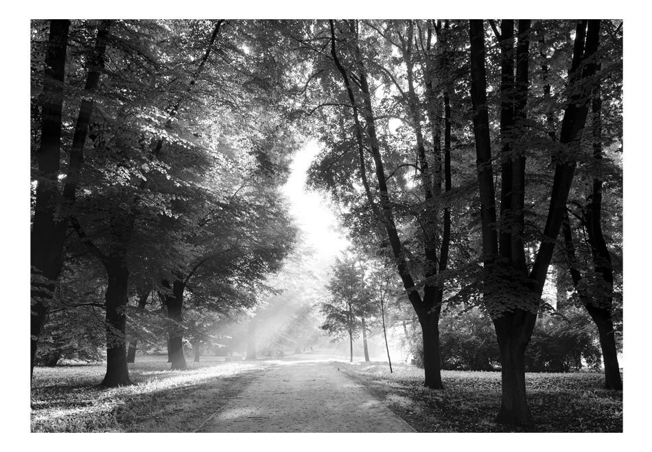 Fototapeet - Path of Memories hind ja info | Fototapeedid | kaup24.ee