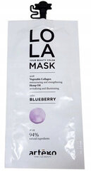 Artego Lola Your Beauty mustikamask 20ml hind ja info | Šampoonid | kaup24.ee