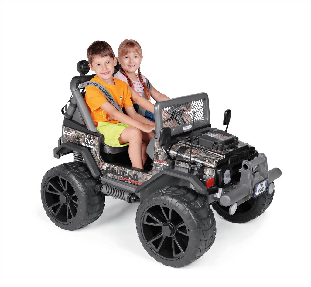 Kahekohaline elektriauto Peg Perego GAUCHO PRO Realtree 24V hind ja info | Laste elektriautod | kaup24.ee