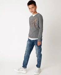 Серая трикотажная футболка для мальчиков Gulliver цена и информация | Рубашки для мальчиков | kaup24.ee