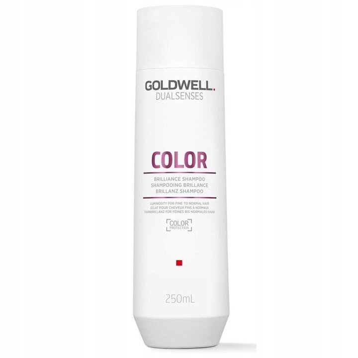 Goldwell DLS Color Fade šampoon 250 ml hind ja info | Šampoonid | kaup24.ee