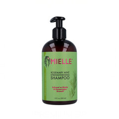 Tugevdav šampoon Mielle Rosemary Mint Scalp & Hair Strength, 355 ml hind ja info | Šampoonid | kaup24.ee