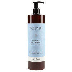 ARTEGO Rain Dance Hydra šampoon 1000ml hind ja info | Artego Kosmeetika, parfüümid | kaup24.ee