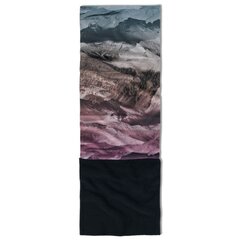 Buff многофункциональный шарф Polar Neck, unisex, 132564-555, серый  цена и информация | Мужские шарфы, шапки, перчатки | kaup24.ee