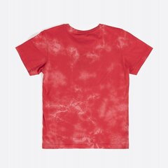 Champion детская футболка, красный цена и информация | Рубашки для мальчиков | kaup24.ee