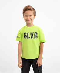 Футболка Gulliver для мальчиков, зеленая цена и информация | Рубашки для мальчиков | kaup24.ee