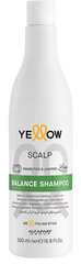 Alfaparf Yellow Scalp Balance šampoon 500 ml цена и информация | Шампуни | kaup24.ee